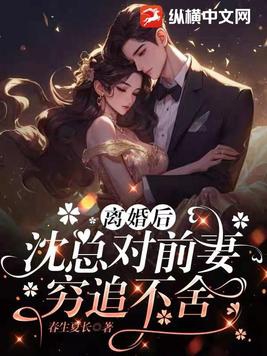 离婚后,沈总对前妻穷追不舍