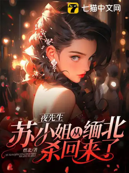 夜先生,苏小姐从缅北杀回来了